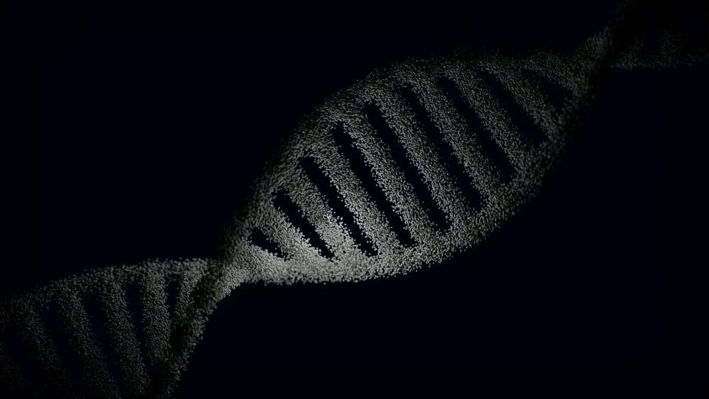 image of DNA