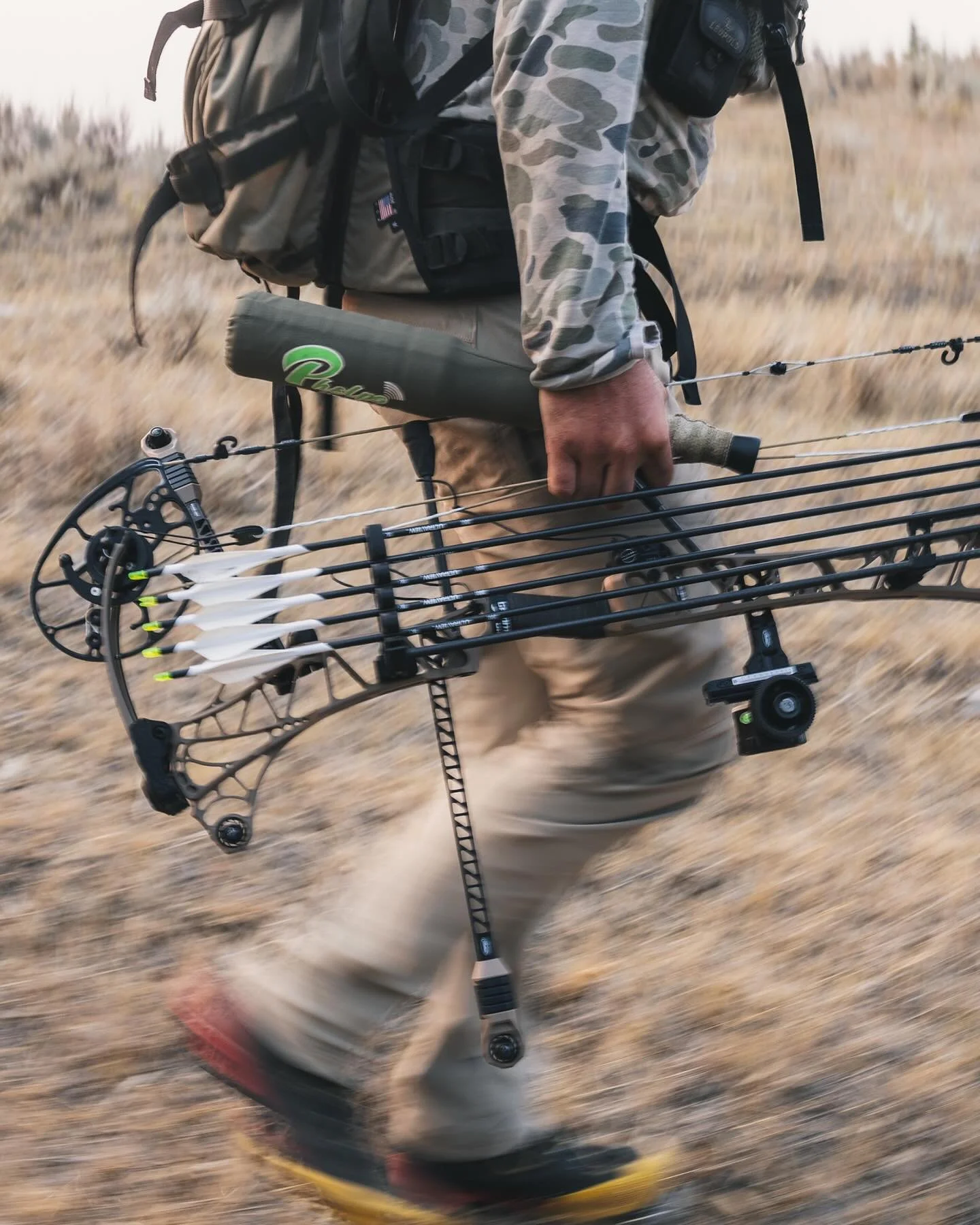 @jordangillphotography making elk moves in MT.