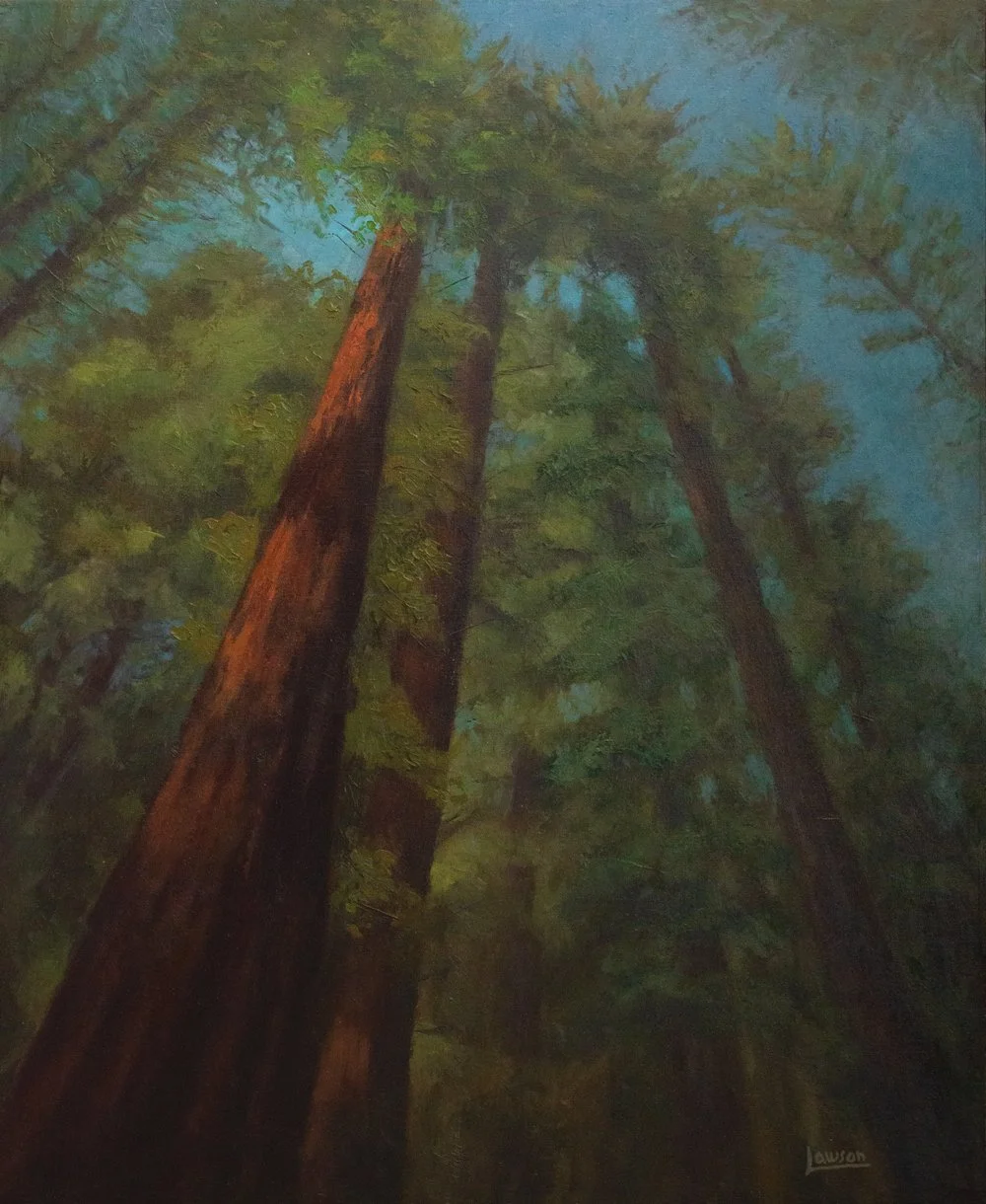 Painting of tall redwood trees with lush green foliage against a blue sky