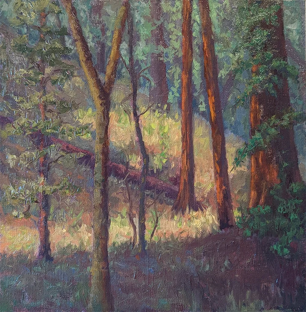 Forest painting with tall trees and sunlight
