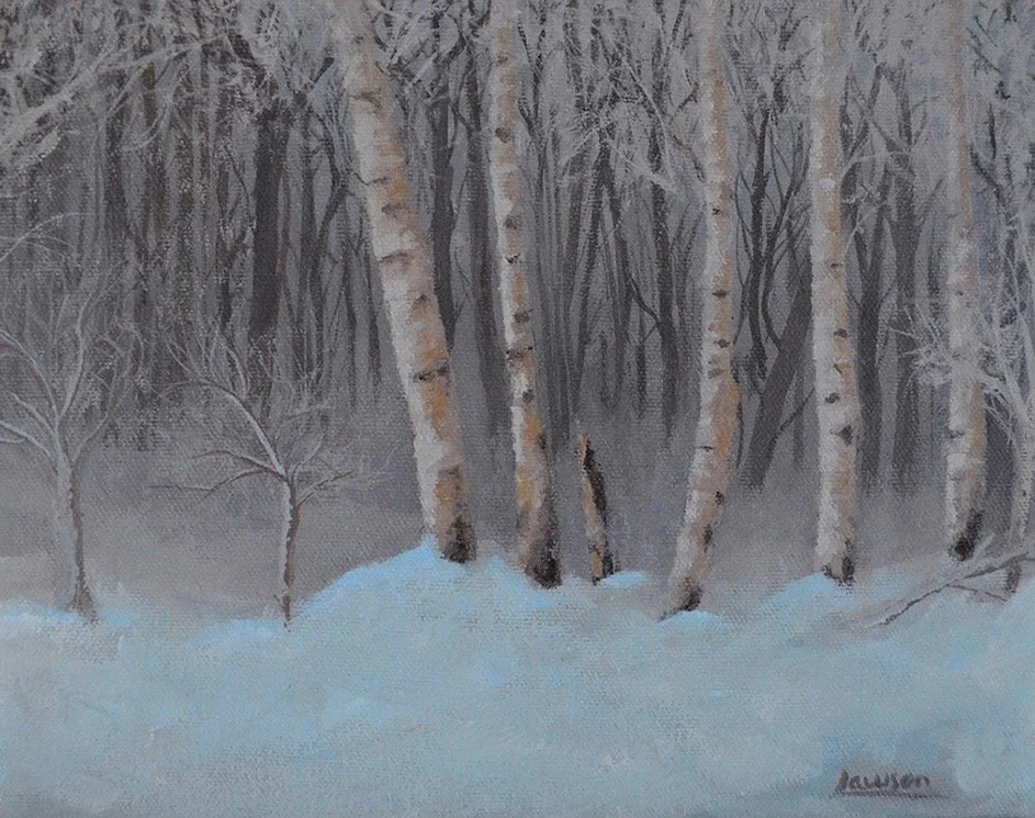 Winter forest scene with birch trees and snow
