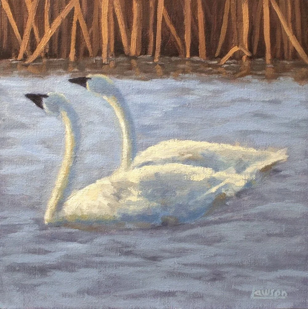 Painting of two swans swimming in a lake with brown reeds in the background.