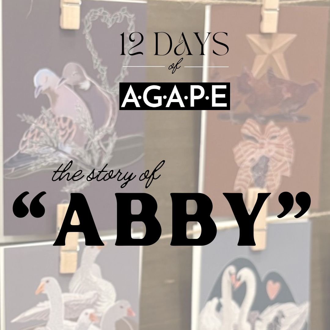 The Twelve Days of Agape: The Story of “Abby”