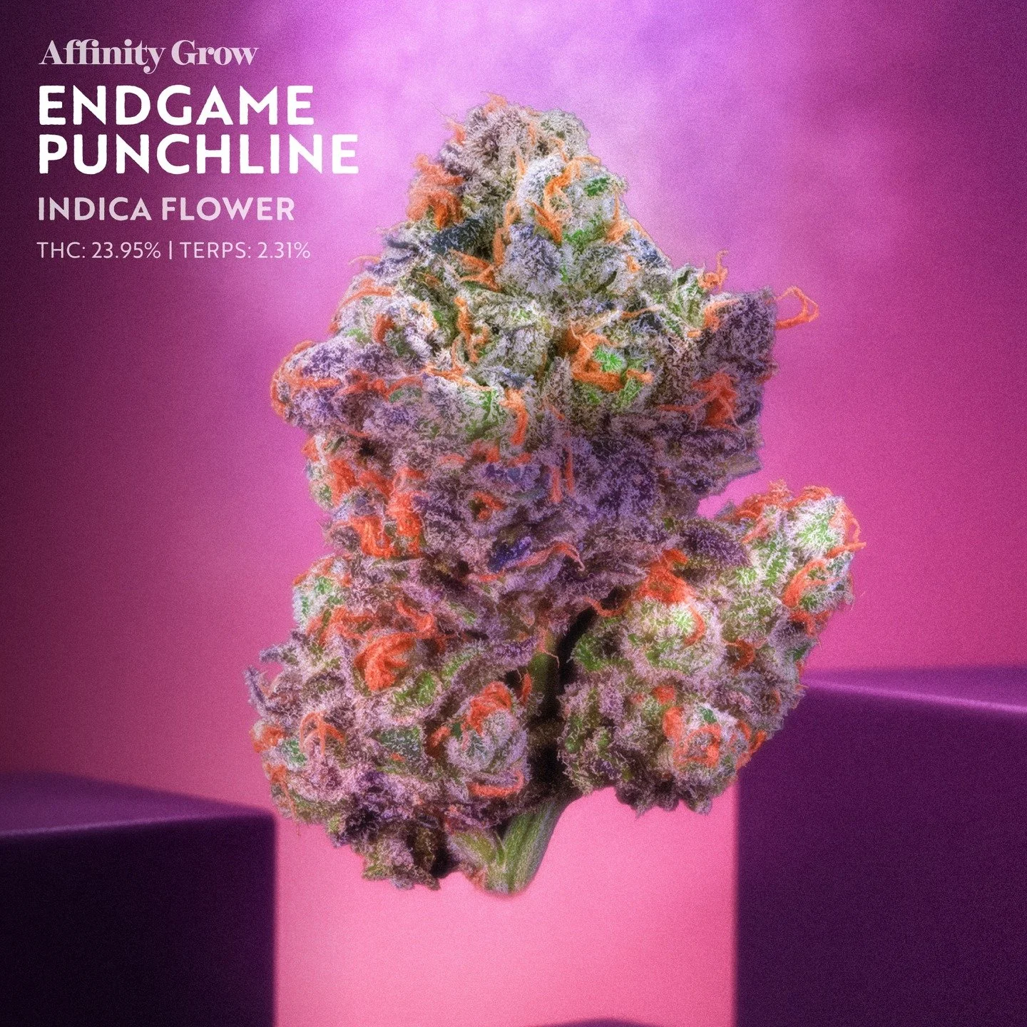Strain of the Week 🔥

Endgame Punchline Flower
Indica | THC: 23.94% | Terps: 2.31%

Lineage: Cherry Punch x (Cherry Punch x Ethos Cookies #16) x Ethos Cookies #4

Big flavor, heavy pedigree, and a punchy profile that lives up to the name. Endgame Pu