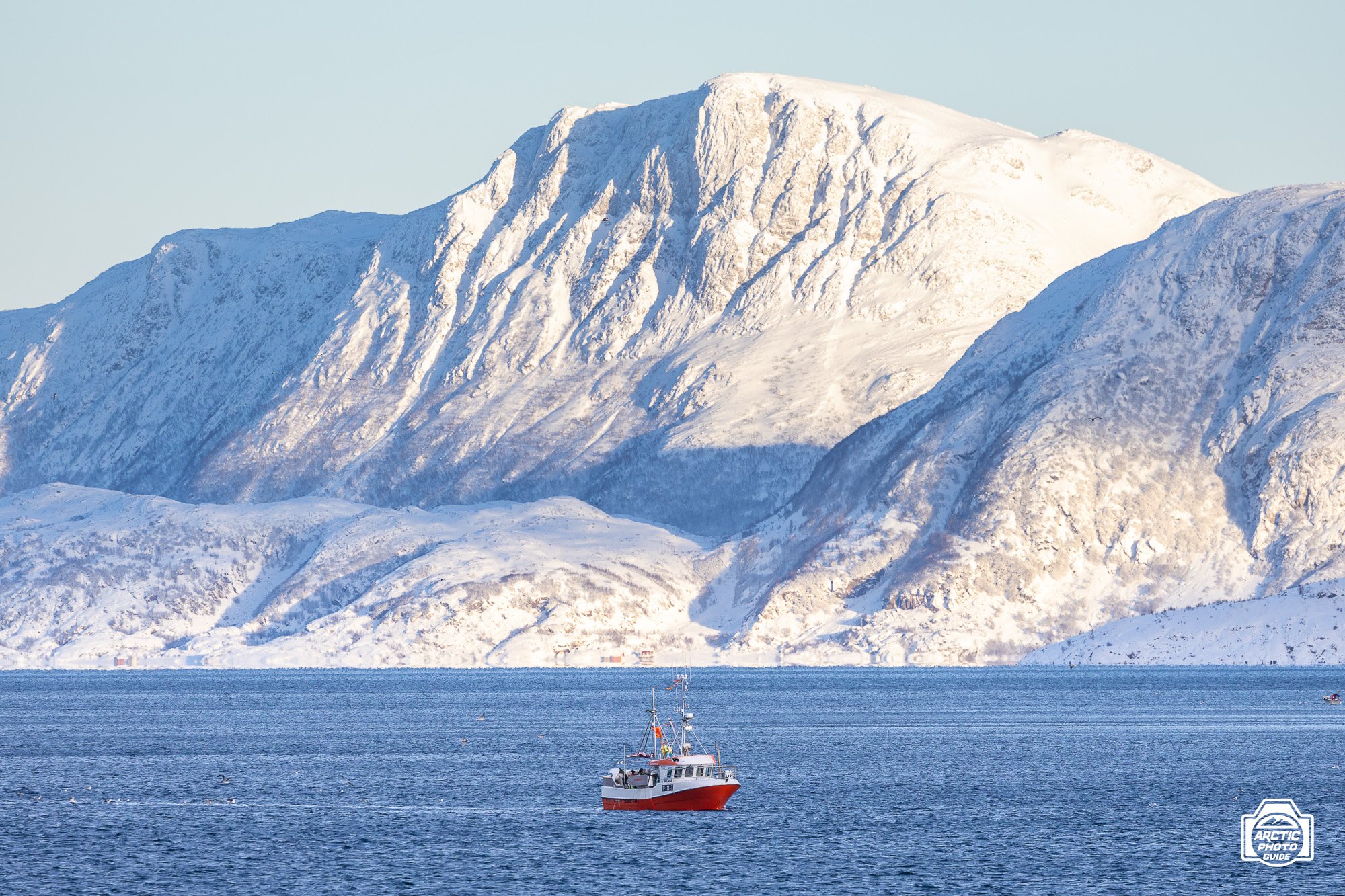 20 02 24 Arctic Photo Guide-9.jpg