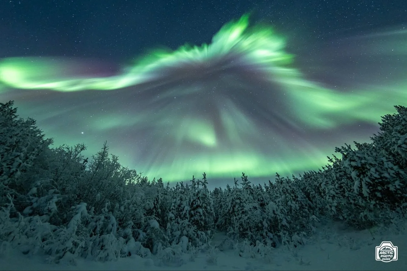 20th of November
Troms&oslash; &amp; Lyngen Alps Photo Tour - Day 2 💥

What to say...what a dream of a night! 
On Thursday we left Troms&oslash; under a nice snowfall, and not trusting any weather forecast too much, since they&rsquo;ve been all wron