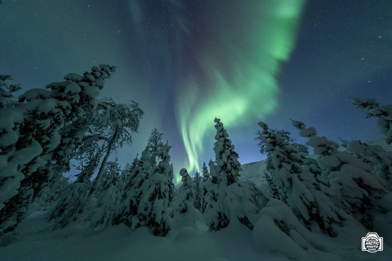 23rd of November
A sweet tour with a family, I took them into Winter Wonderland ❄️

Last Sunday, blessed once again from perfect skies around Troms&oslash;, and with a request from my guests of not returning too late (since they had a flight the foll