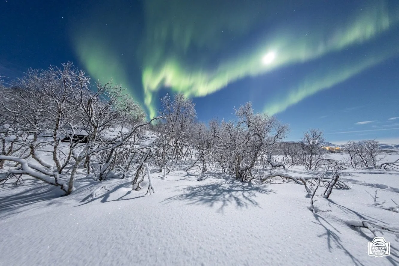 4th of December
Full moon, winter wonderland, clearer sky than the forecasts said, frozen trees, a frozen lake...and she said yes! 
Not much more to say ❤️💚

I got some last minute cancellations for the upcoming days, if you&rsquo;re around and wann