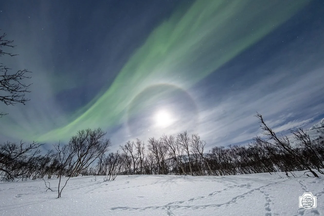 6th of December
Snowshoeing in the moonlight 🌝

I had a family who booked me for a private tour since they had a very small child, on Saturday, but, unfortunately, due to unwellness only the father was able to come on the tour.
Well, then, what to d
