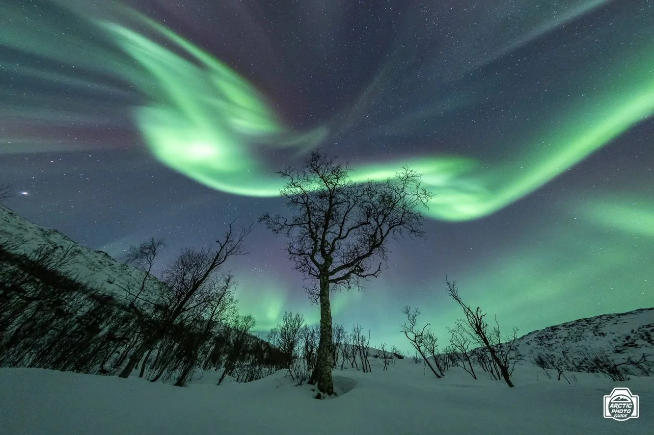 10th of December
One of those nights that make you understand why people used to be scared of the Northern Lights back in time... 😵&zwj;💫

These guests were supposed to be on tour with me last Tuesday, Dec 9th. But the weather forecast looked reall