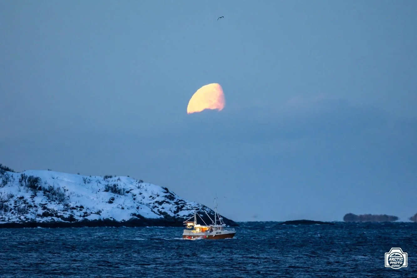 10th of December
Polar nights with clear skies, 4-5 hours of blue and pastel colours to take your breathe away 😍

Until last Monday, the forecast for the last week looked pretty grey. But then it changed, for the better, from Wednesday onward.
And a