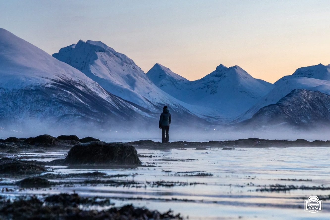 Some photos taken over the last week, to brighten up these last few days where the weather has been rather grim ✨

I love the moon in December, hoovering low in the sky, &ldquo;pretending&rdquo; to be our sun 🫶
And the cold, making everything crisp 