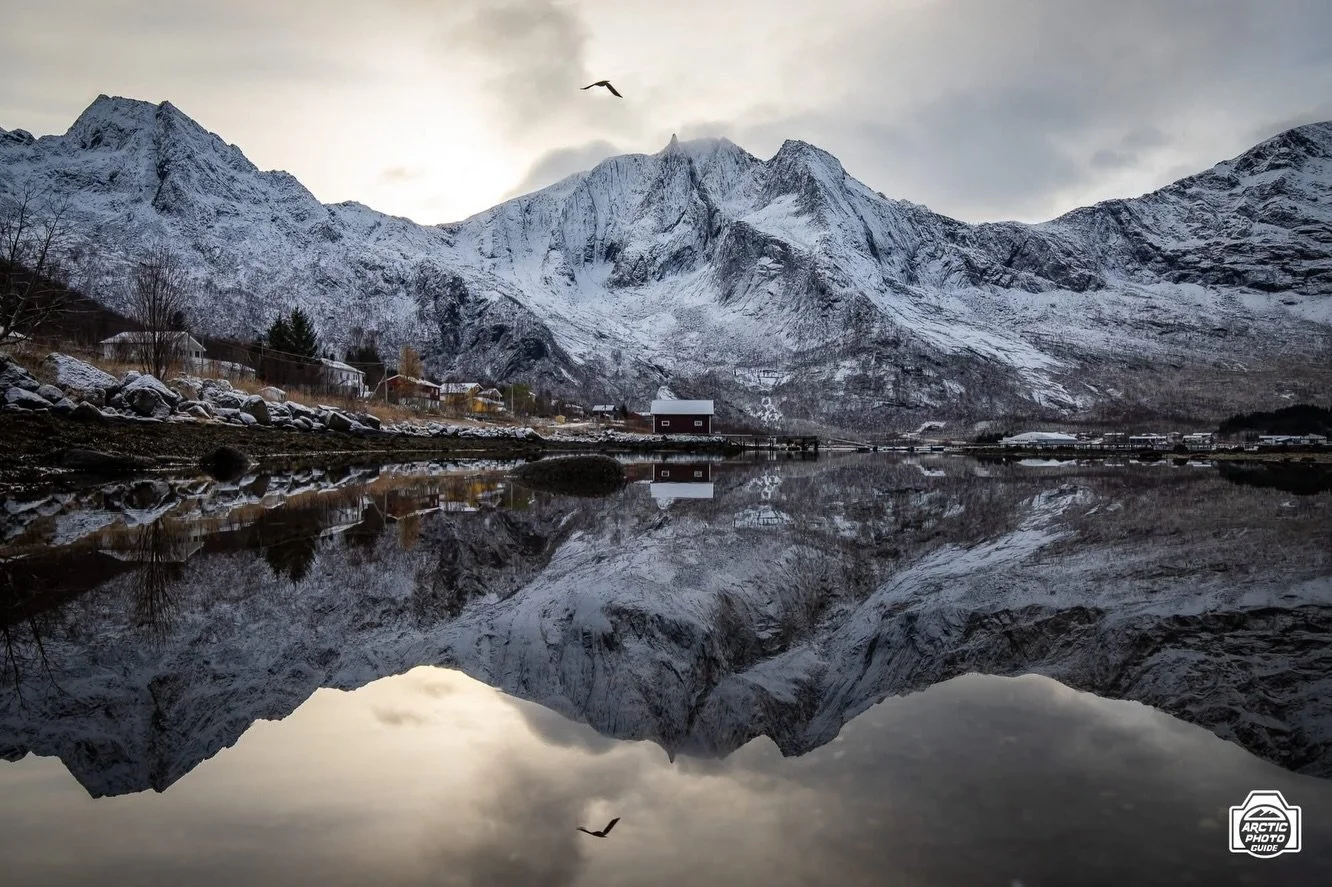 SENJA ISLAND - Northern Norway at its wildest ⚡️

I am going there next Monday, February 9th 2026, and have 3 available seats, departing from Troms&oslash; in the early morning.

Do you want to join me for a full day tour on this eldorado of awesome 