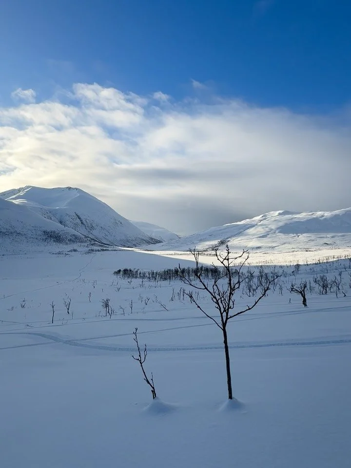 Missing some good proper snow 😢❄️

This March has been an absolute disaster weather wise. Rain, rain and more rain. 

Here&rsquo;s a throwback from a wonderful fun ride in late February with my friend @jonasbjorklund 

Would you hike uphill 2 hours 