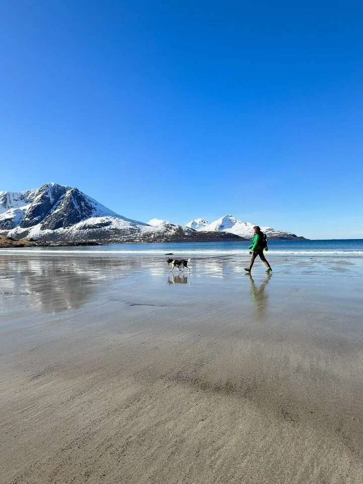 Dreamy spring weather this April so far, and the pleasure of dog sitting a cutie again - life is good ✨

#troms&oslash; #springtime #arcticcircle #dogsarethebest #lifeisbeautiful