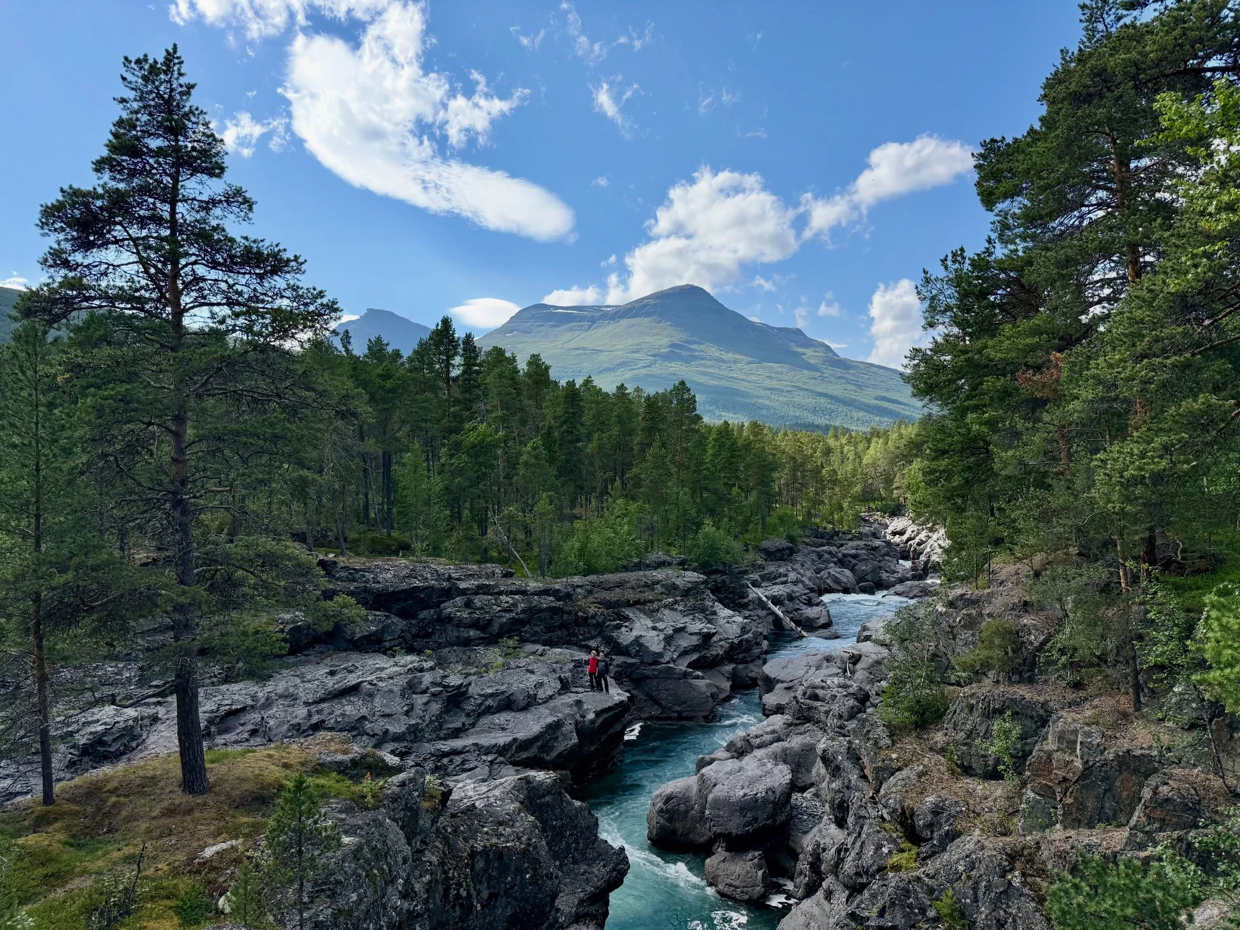 This year, summer in Northern Norway has been mostly cloudy and rainy 🌧️

So here&rsquo;s a throwback to a month ago, when I took these visitors for a 2 hours drive from Troms&oslash; into some nice valleys&hellip;on the only day when they had a cha