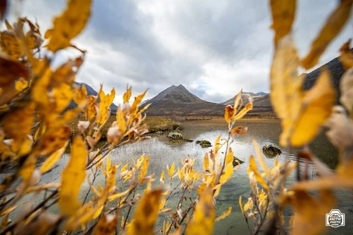 4th of October
Autumn colours doing their best to keep up with the weather!

On Sunday I did a short private Arctic Landscapes Photo Tour for a guest who has travelled to Troms&oslash; before, and already seen the most common locations near the city.