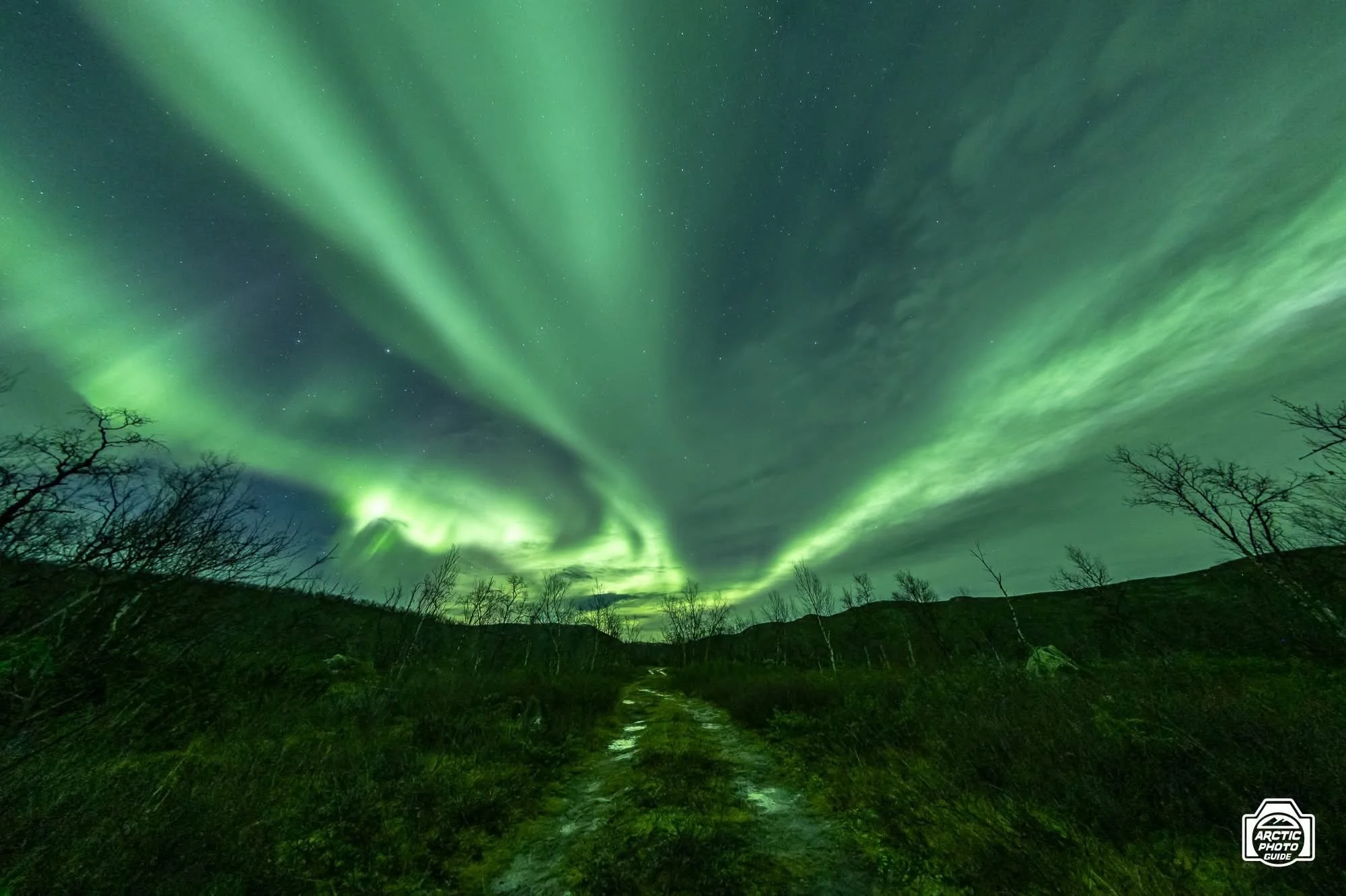 16th of October
Flexibility, the key of success when conditions are difficult! 😎

Last Friday night, the weather forecasts were all agreeing that if there was clear sky to be found, was far into Finland, and rather early in the evening as it would t