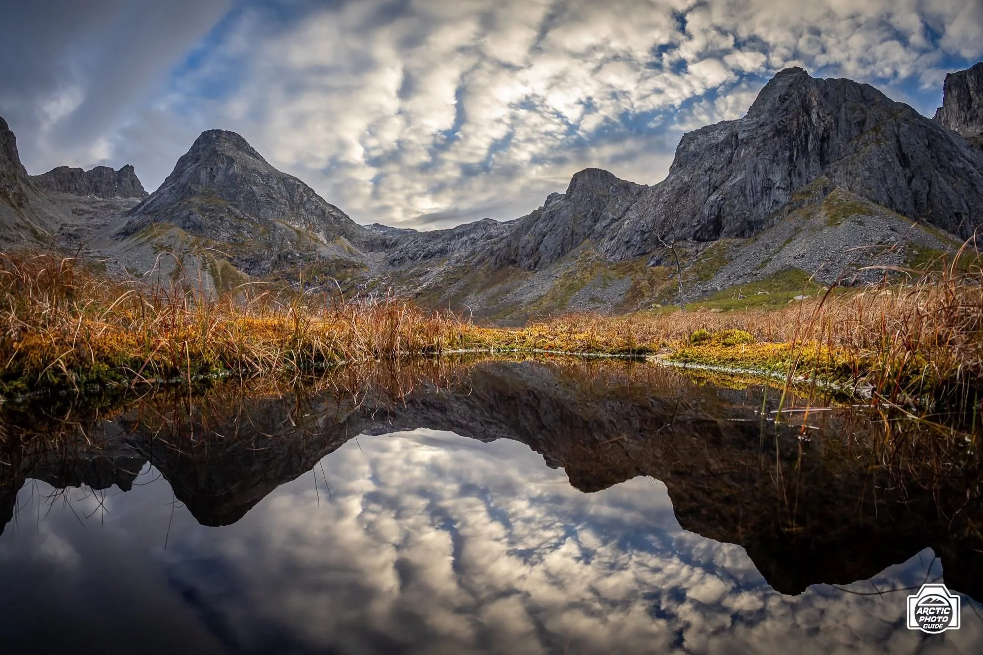 27th of October
Ohhh Norway...what a terrible place to be... 🙃

Those who know, will get what I&rsquo;m referring to...and those who don&rsquo;t, it&rsquo;s ok, nothing to worry about. As you can see, even the seals are laughing in the fjords 😉

On