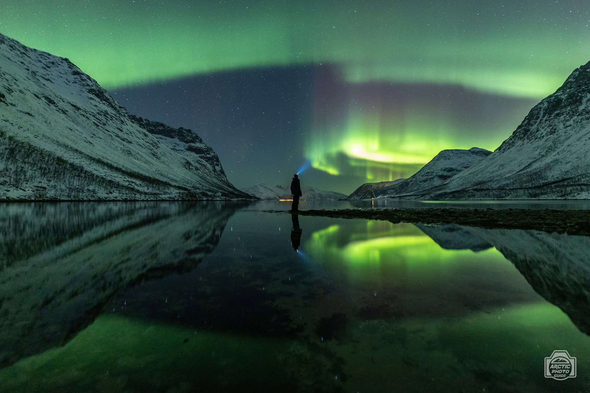 03 01 24 Arctic Photo Guide-28.jpg