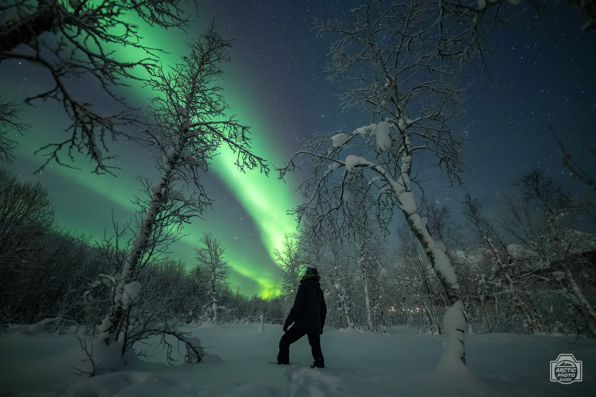 08 12 23 Arctic Photo Guide-7.jpg