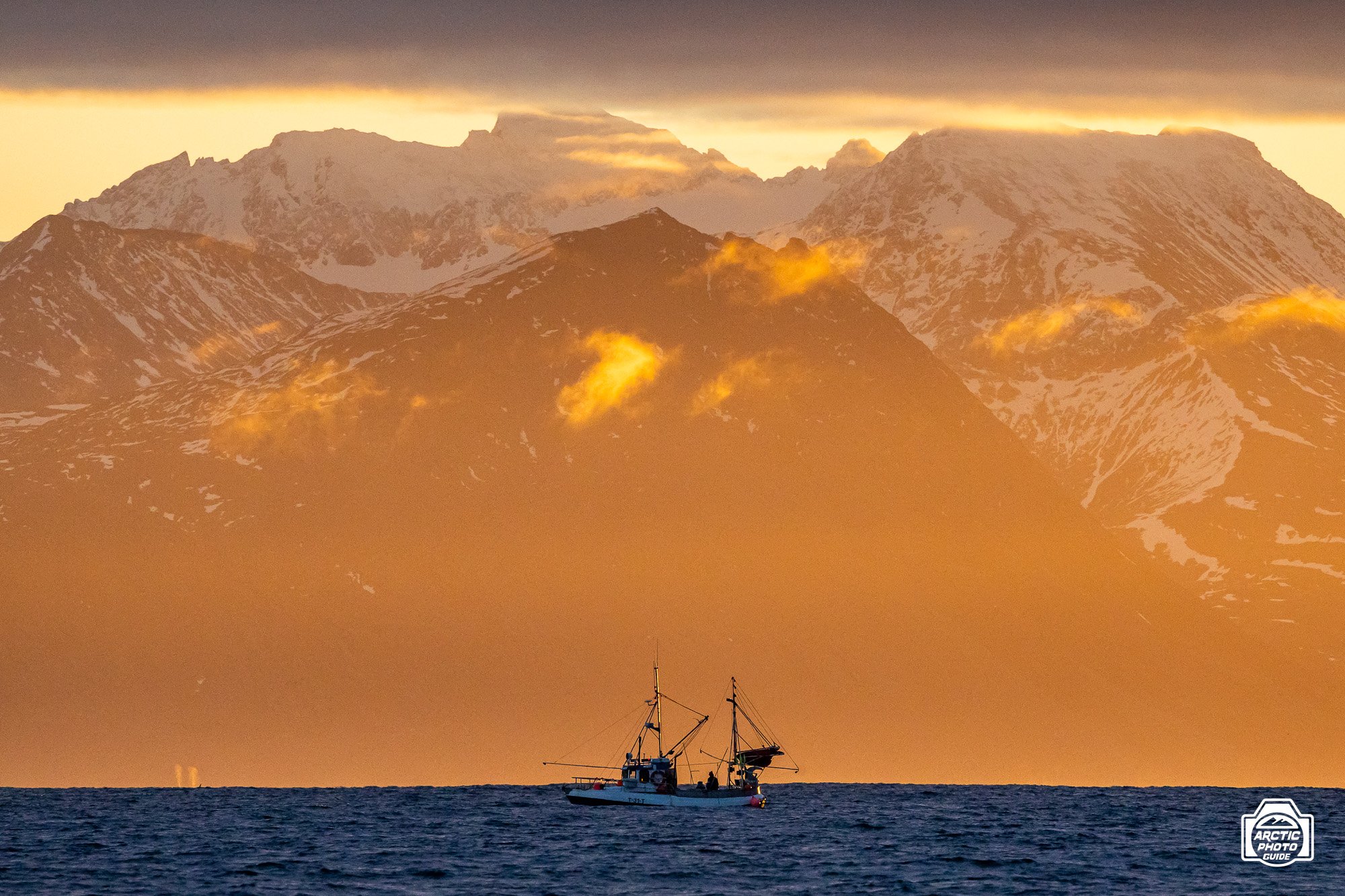 Arctic Photo Guide-Vannøya-86.jpg