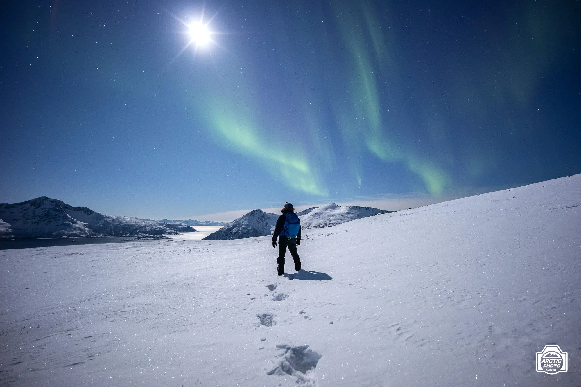 09 01 25 Arctic Photo Guide-110.jpg