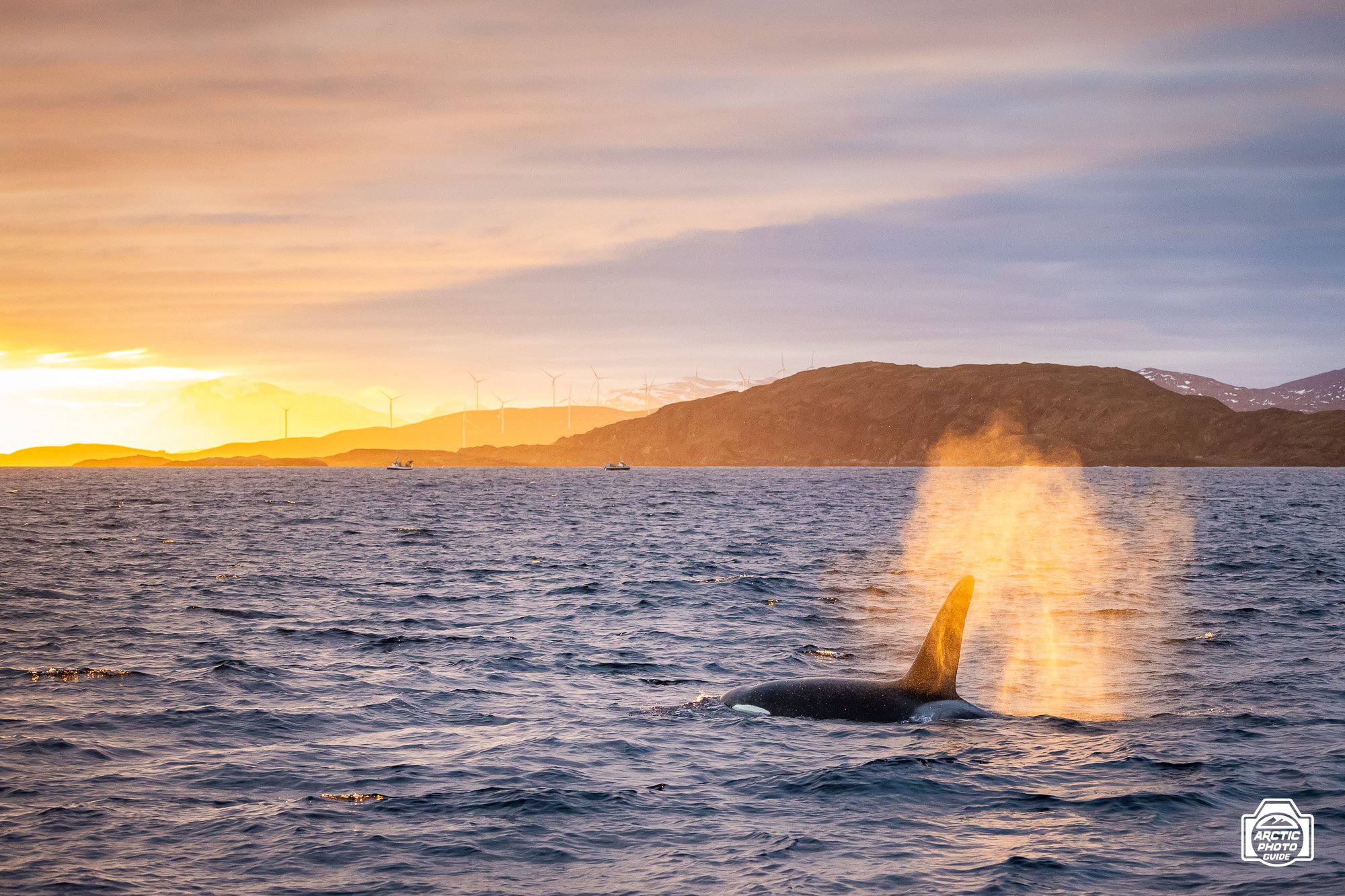 Arctic Photo Guide-Vannøya-84.jpg