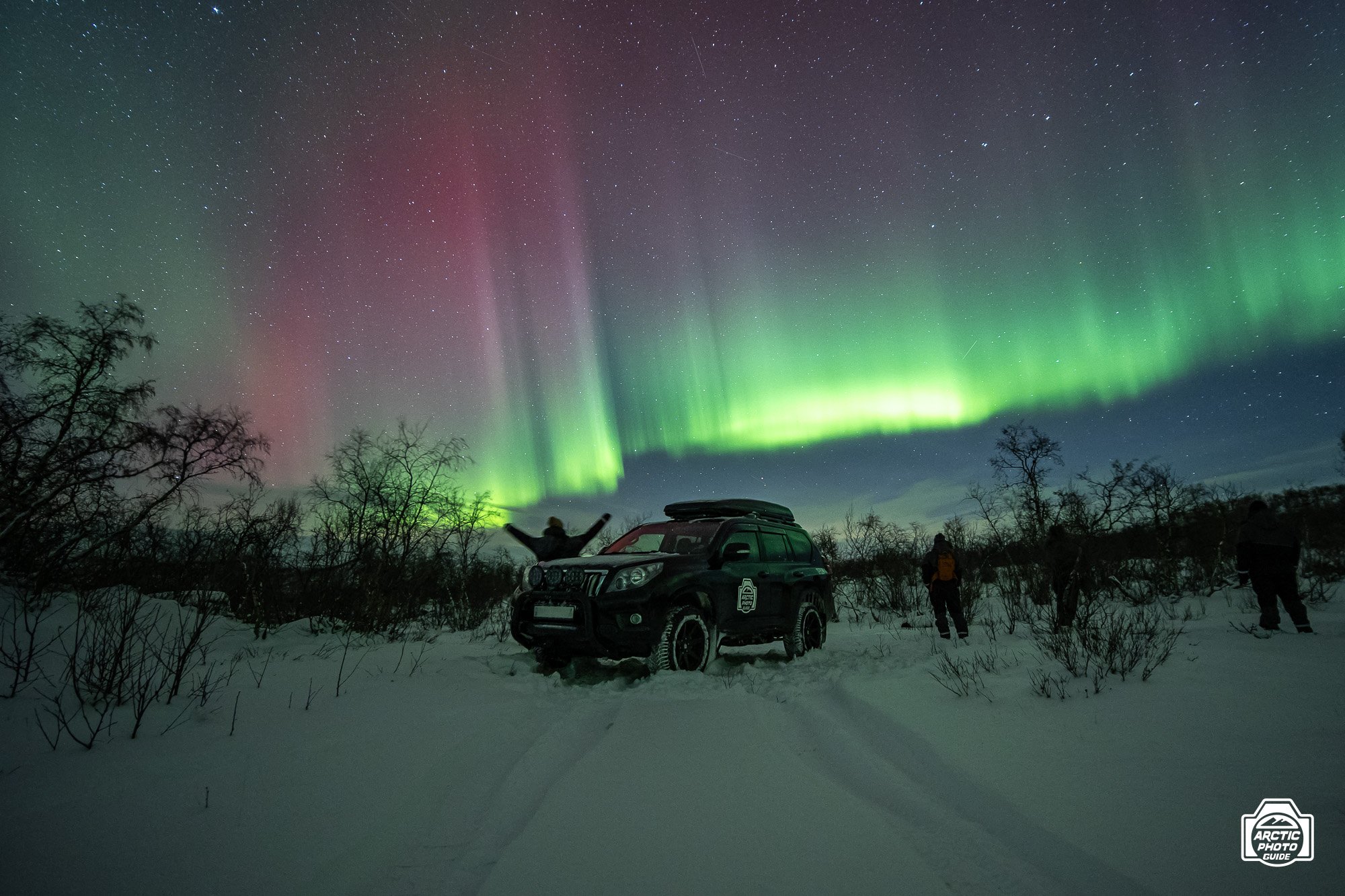02 11 24 Arctic Photo Guide-11.jpg