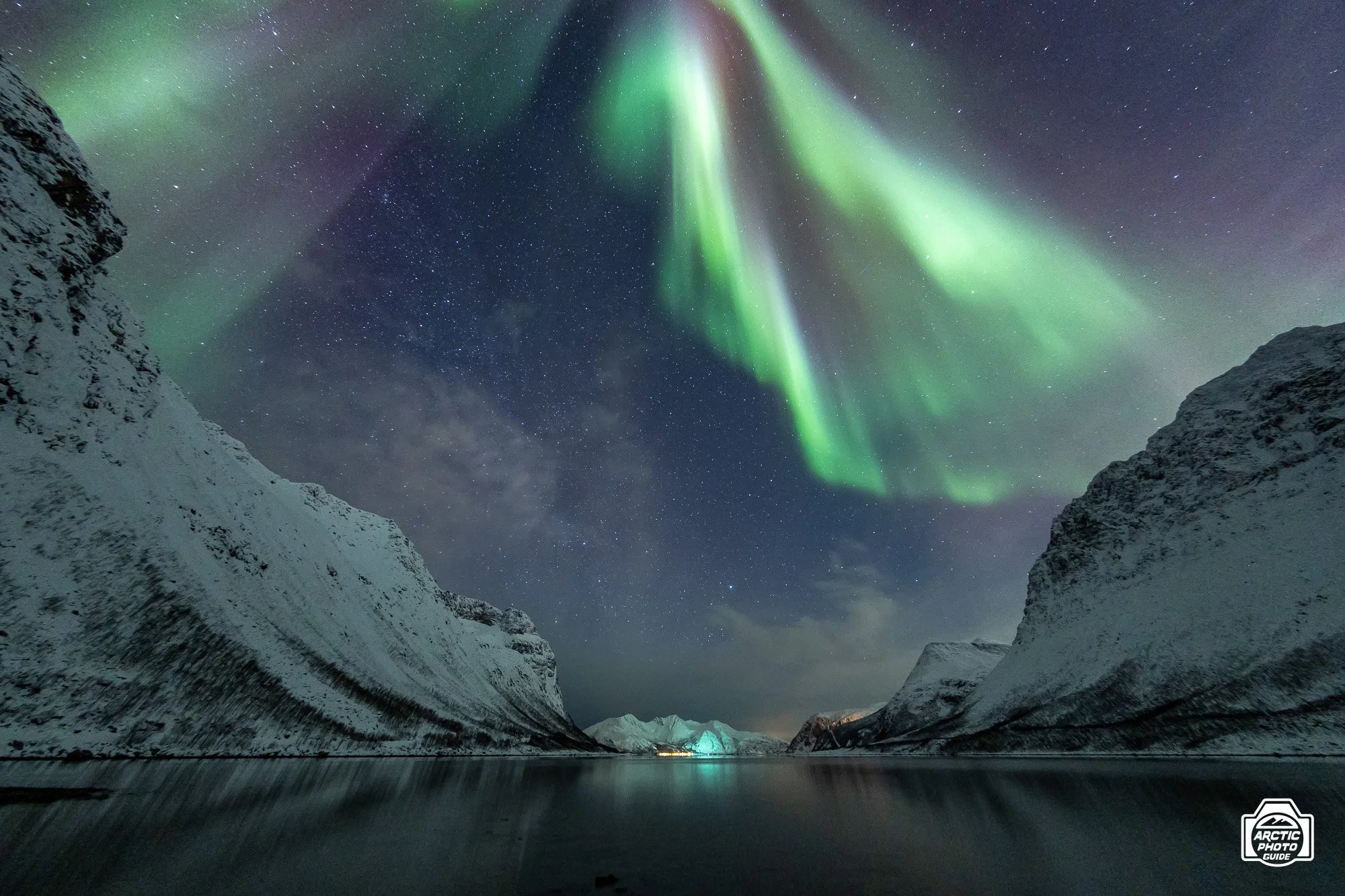10 02 26 Arctic Photo Guide-25.jpg