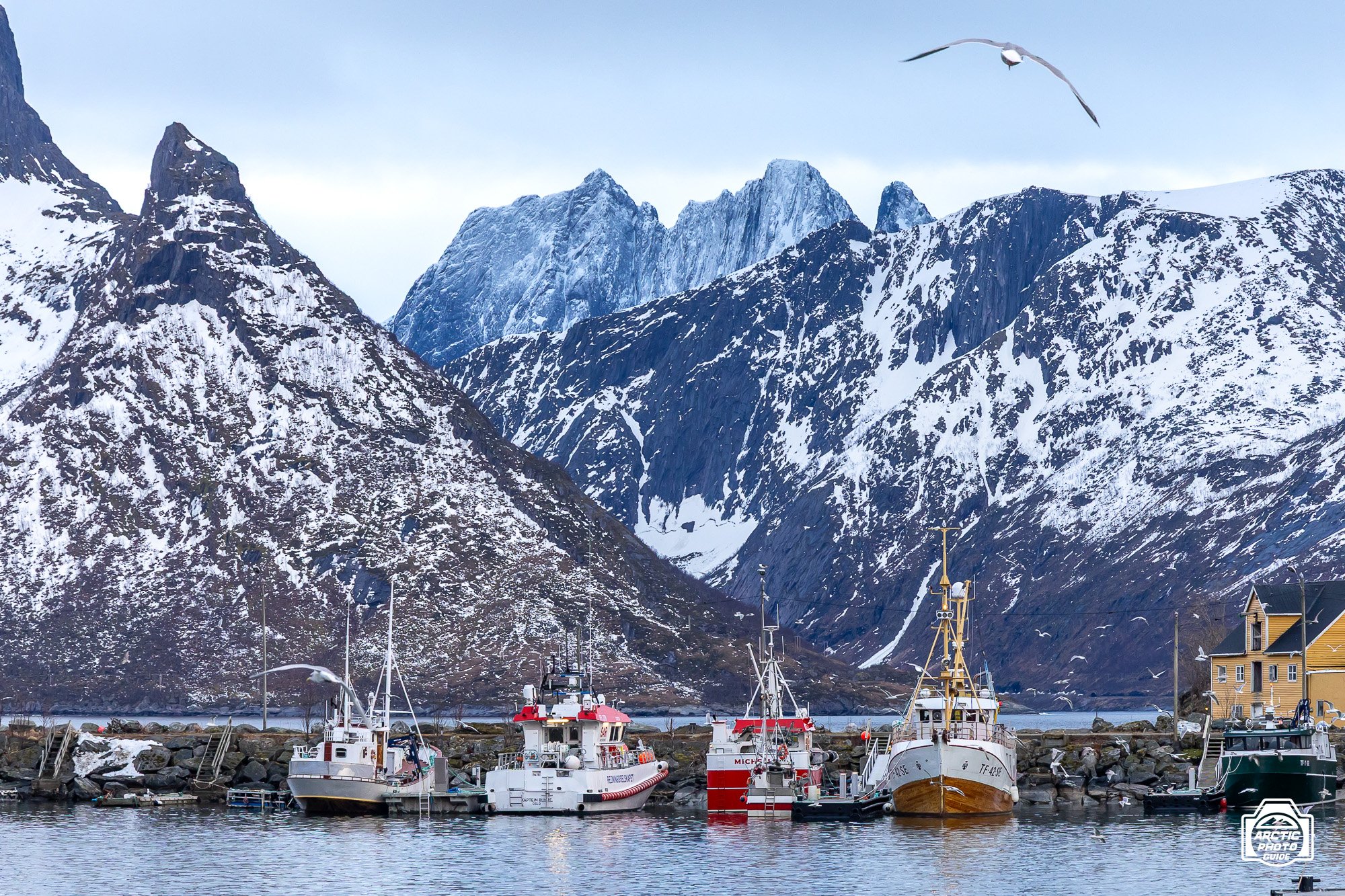 Senja Feb 25 - Arctic Photo Guide-13.jpg