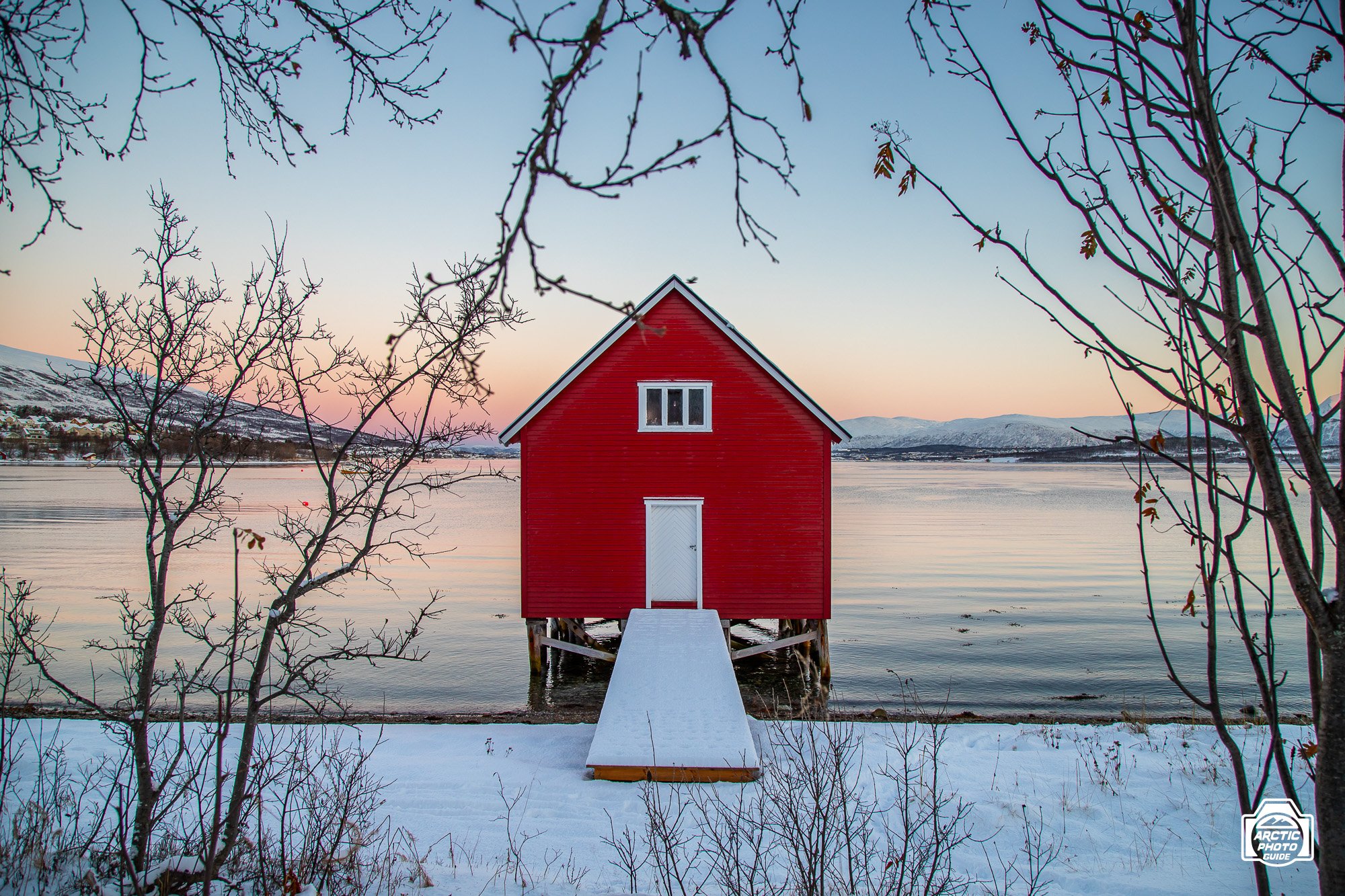 Arctic Photo Guide-7452.jpg