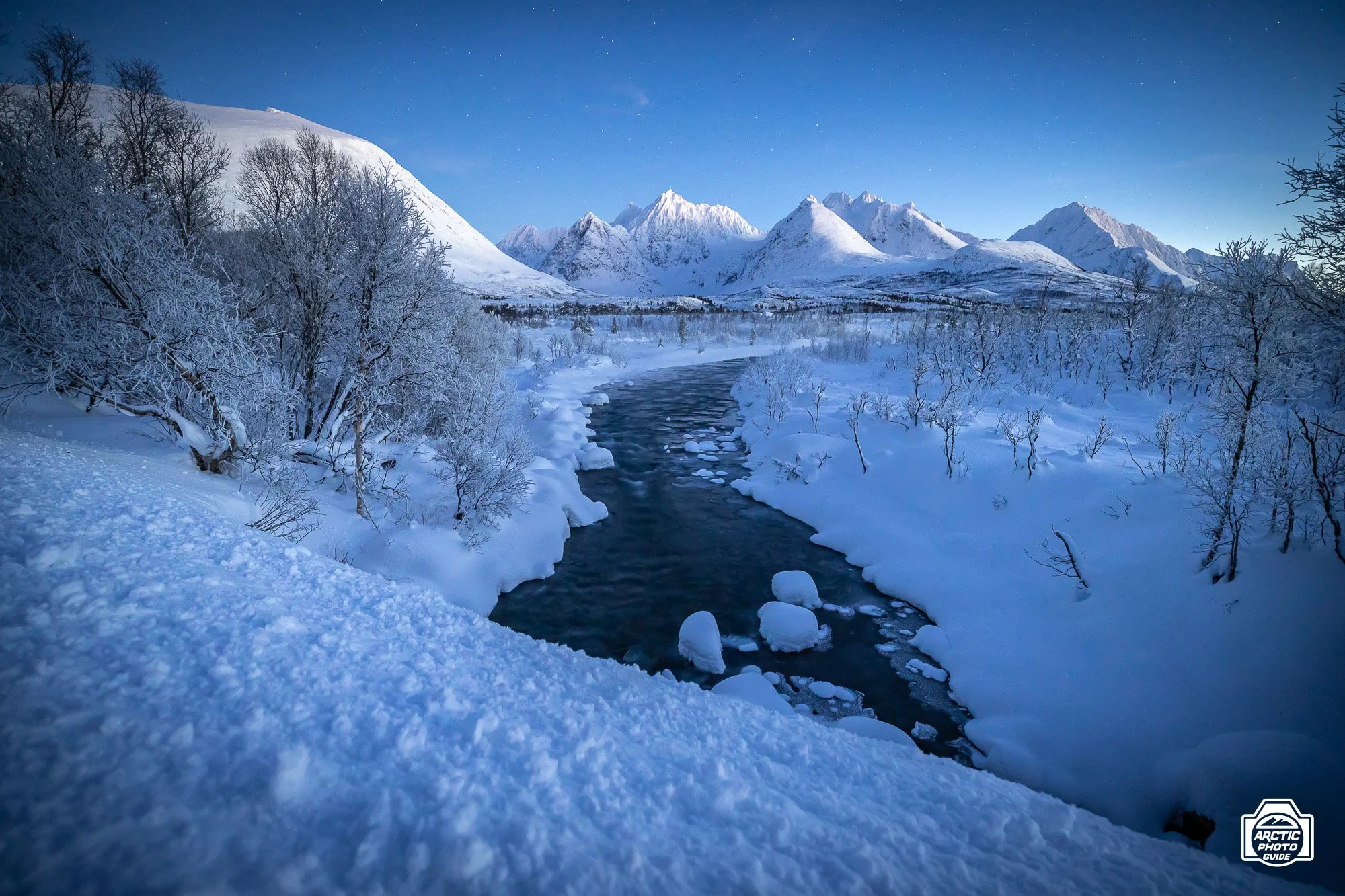 22 11 25 Arctic Photo Guide-70.jpg