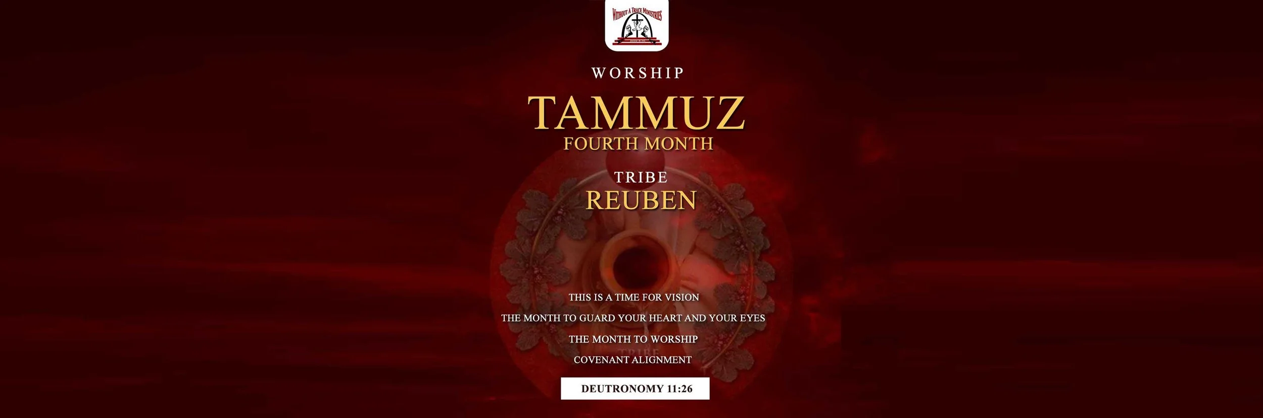 TAMMUZ SLIDER.jpg