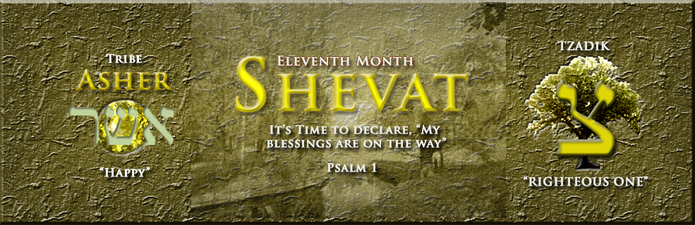 Shevat-Banner.png