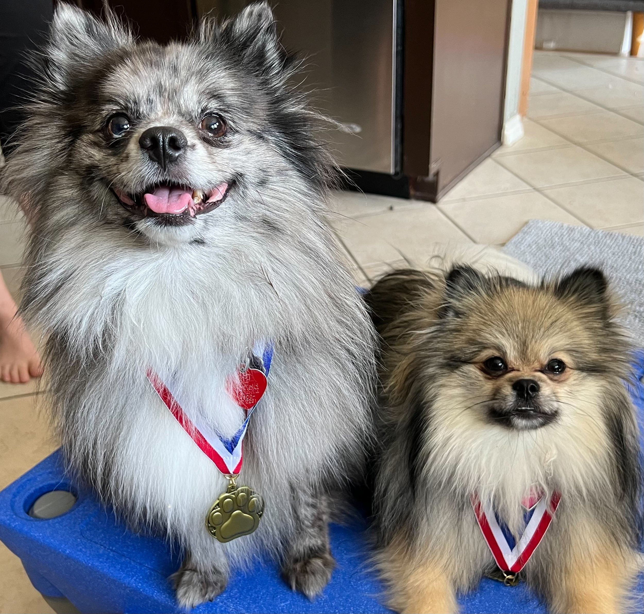 Champions of Training 08.24 6611-min.jpeg