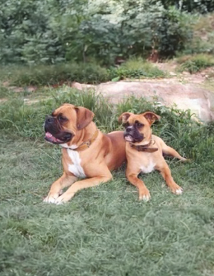 Christopher Hoover adn Harper 2.0.png