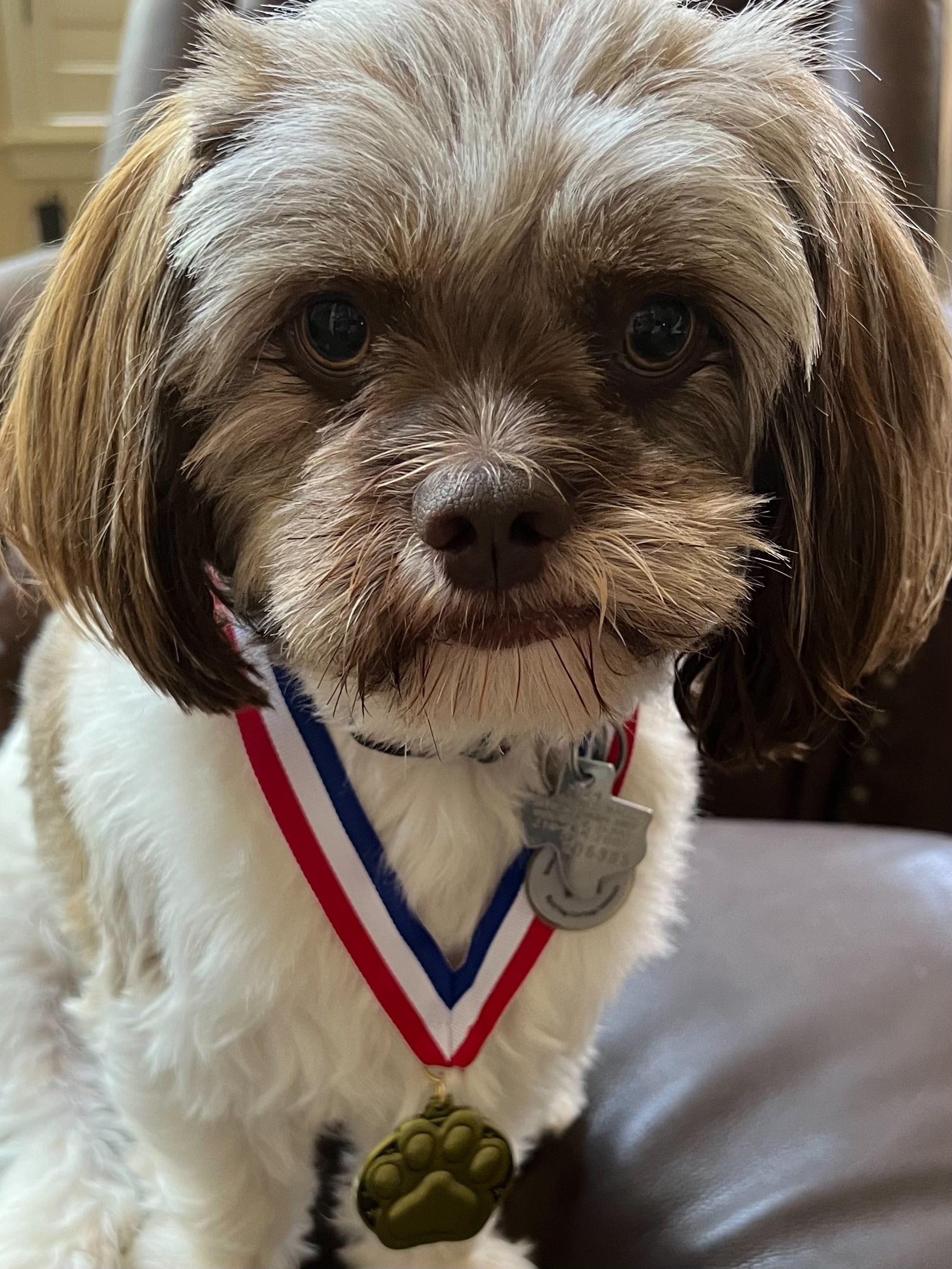 Champions of Training 08.24 6629-min.jpeg