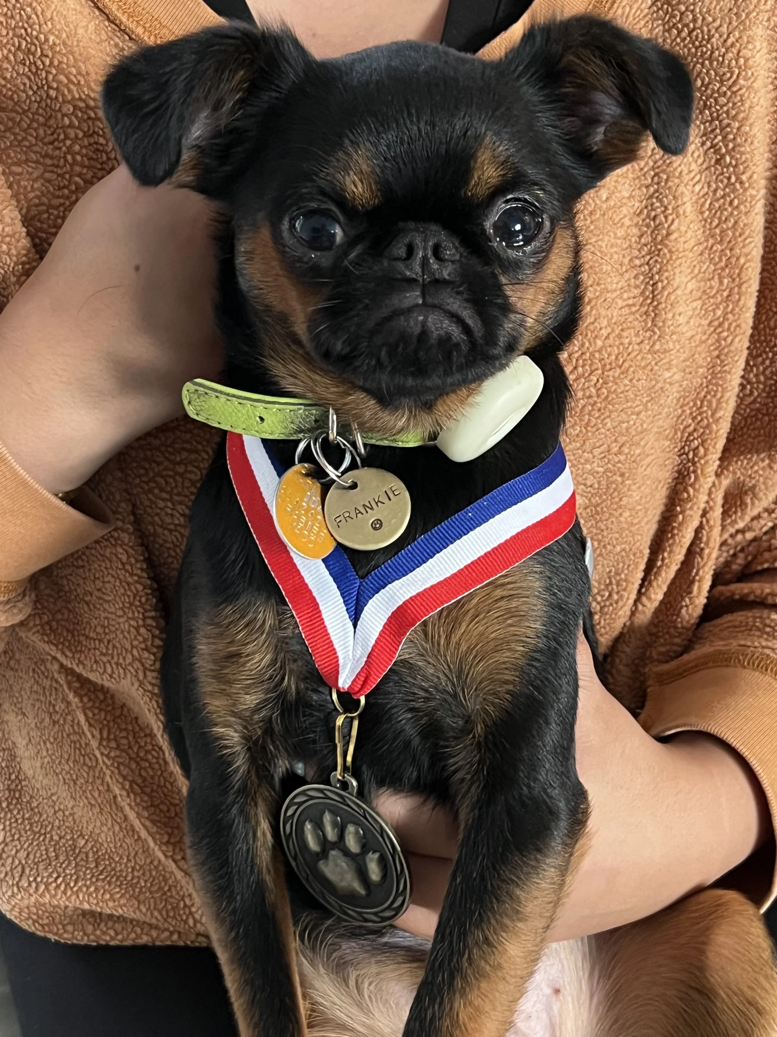 GD&B Bonus IMG_7995.jpeg