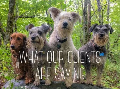 GD&B Client Reviews IMG_9289.JPG