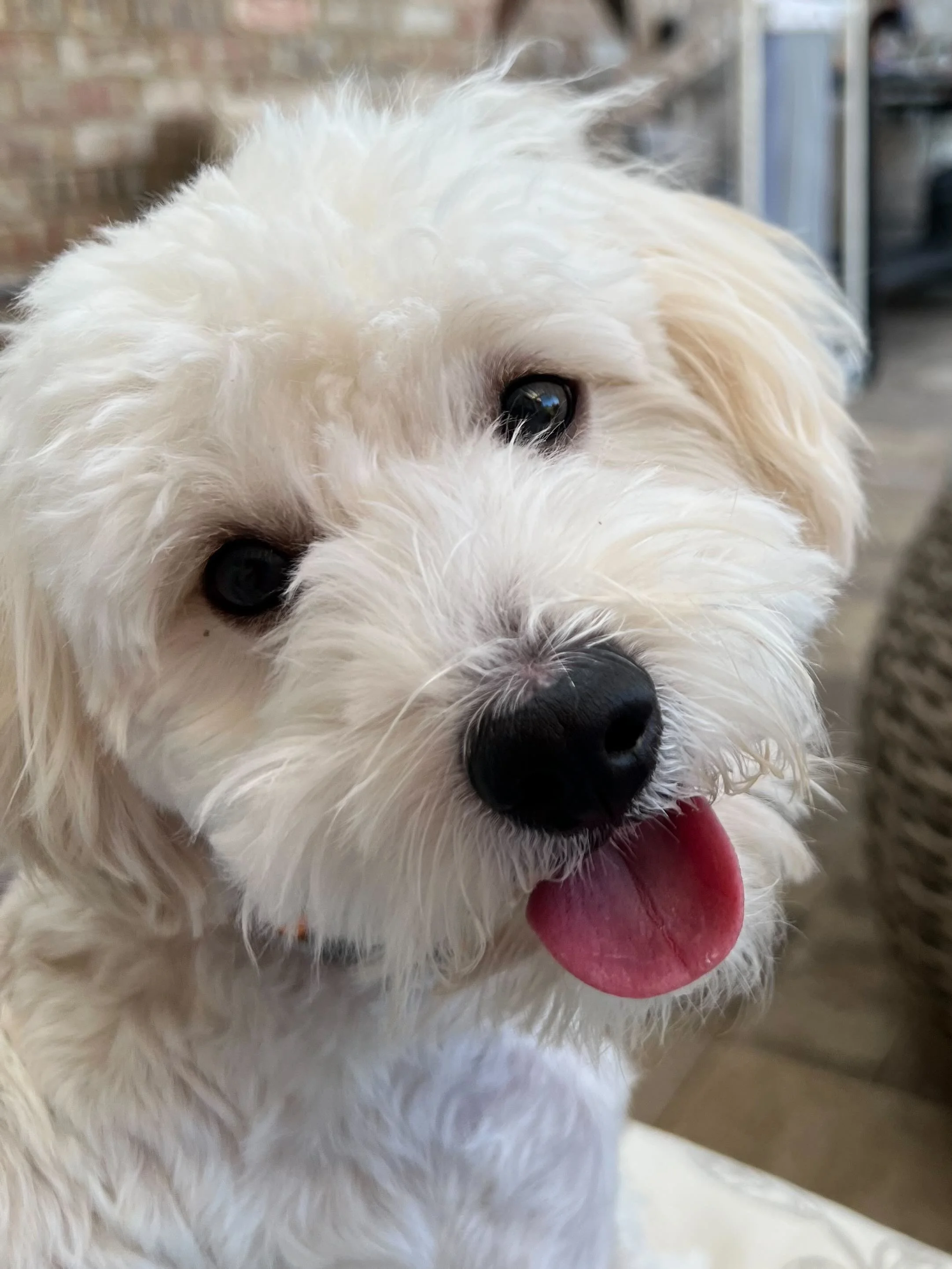 Champions of Training 12.23 1407.jpeg