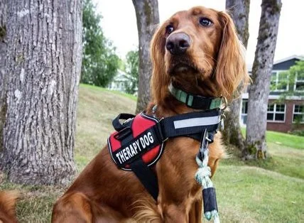 GD&B What We Offer IMG_4518.jpg