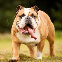 Sharon and Brody.png