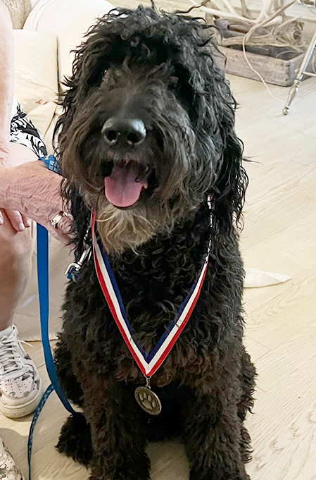 GD&B Training Programs 4 IMG_4026.png