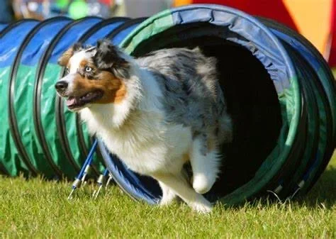 GD&B Specialized Training 8 IMG_8687.JPG