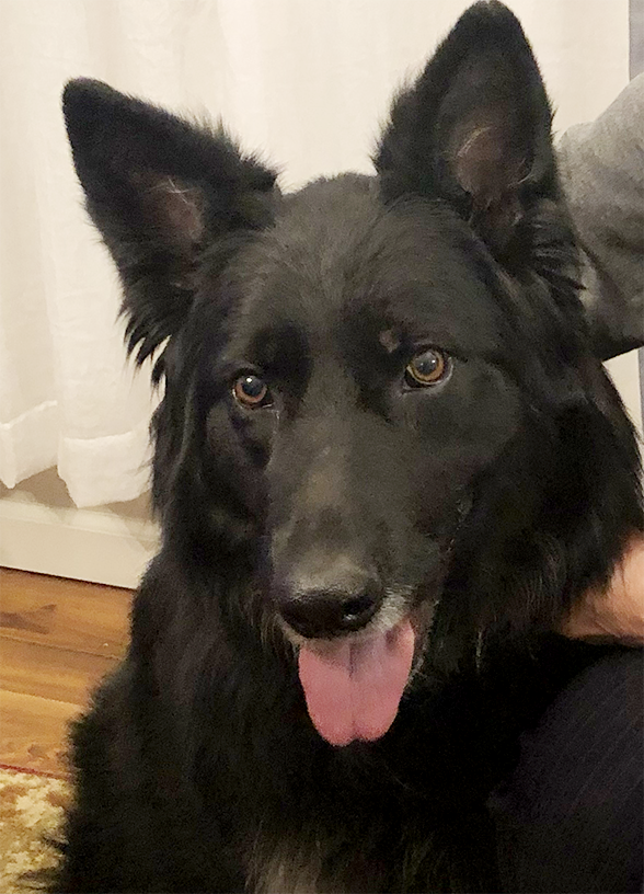  Linda and Lollipop v2.png