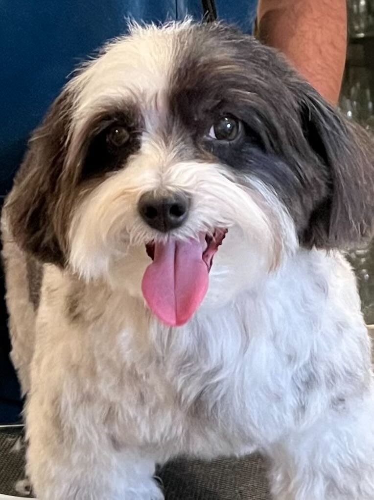 Champions of Training 12.23 1934.jpeg