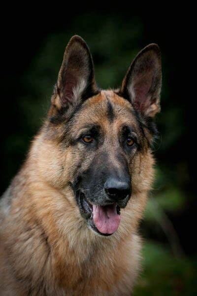 Champions of Training 12.23 2181.jpeg