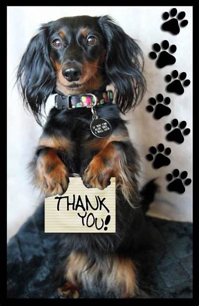 GD&B Client Reviews IMG_9290.JPG