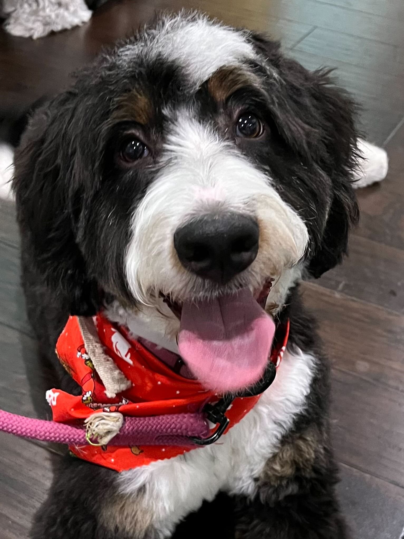 Champions of Training 12.23 2695.jpeg